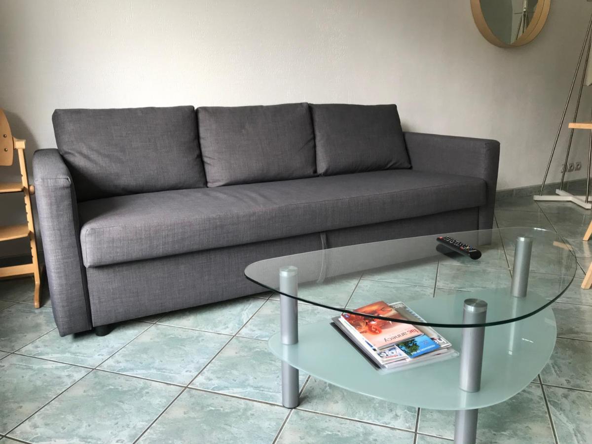 Apartament Les Iles - Parking, Balcon, Netflix & Ps4! Annecy Zewnętrze zdjęcie